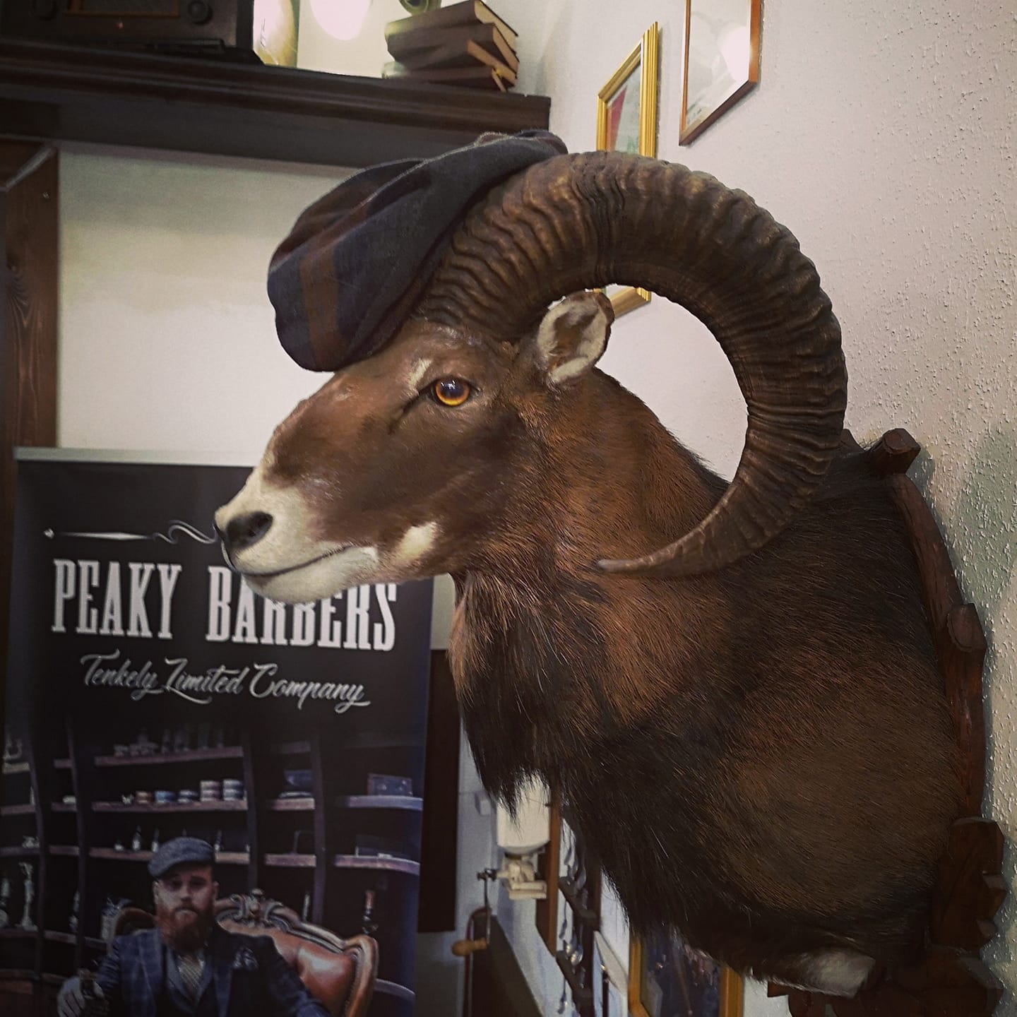 Peaky Barbers - Barbershop Debrecen Bajcsy-Zsilinszky utcai szalon